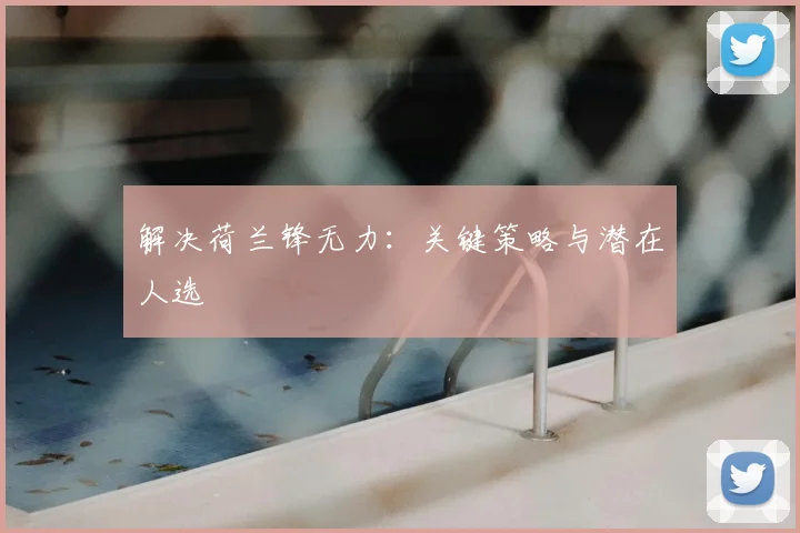 解决荷兰锋无力：关键策略与潜在人选