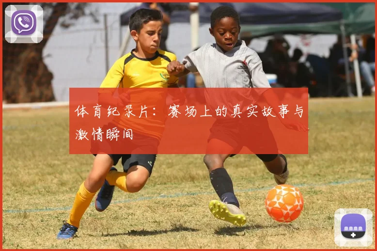 体育纪录片:赛场上的真实故事与激情瞬间