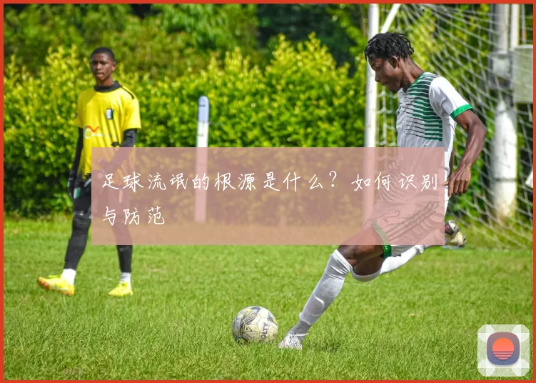 足球流氓的根源是什么？如何识别与防范